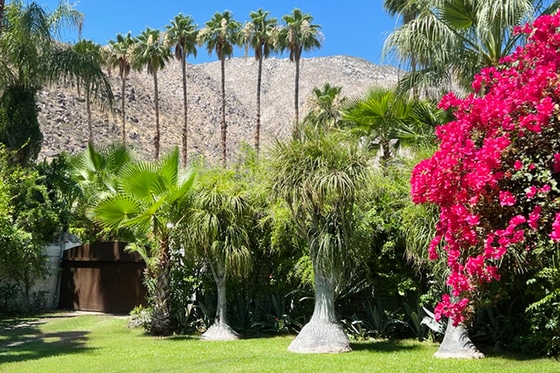 Casa de Monte Vista: Pool & Spa Day Pass Palm Springs | ResortPass