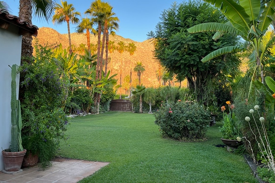 Casa de Monte Vista: Pool & Spa Day Pass Palm Springs | ResortPass