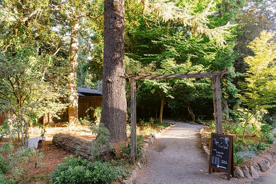 Dawn Ranch: Pool & Spa Day Pass Guerneville | ResortPass